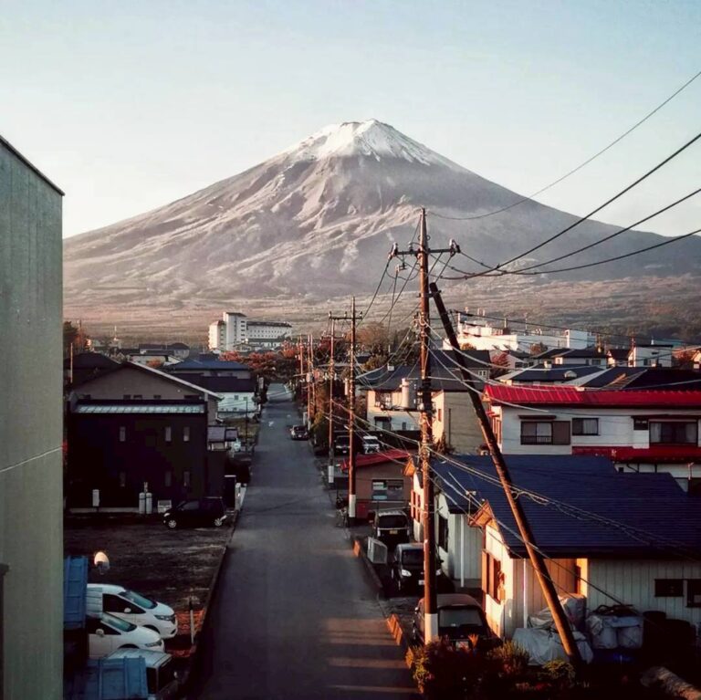 FUJI GOGOTRIP