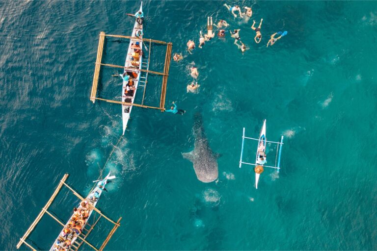 cebu gogotrip